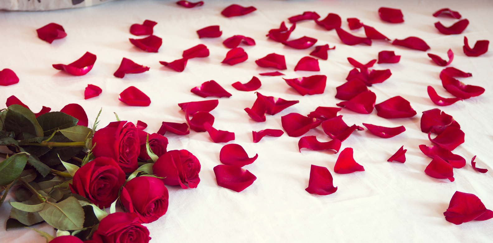 A bouquet of red roses and scattered rose petals on a white surface.