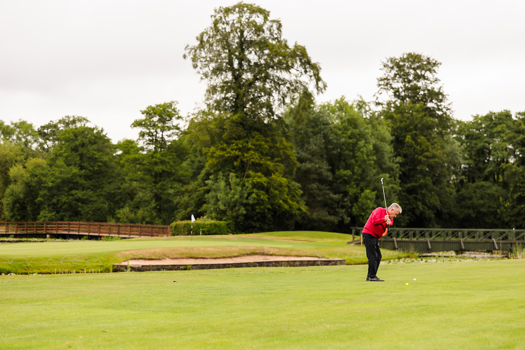 A person in a red jacket plays golf on a lush green course, preparing to swing. Trees and a small bridge are in the background.