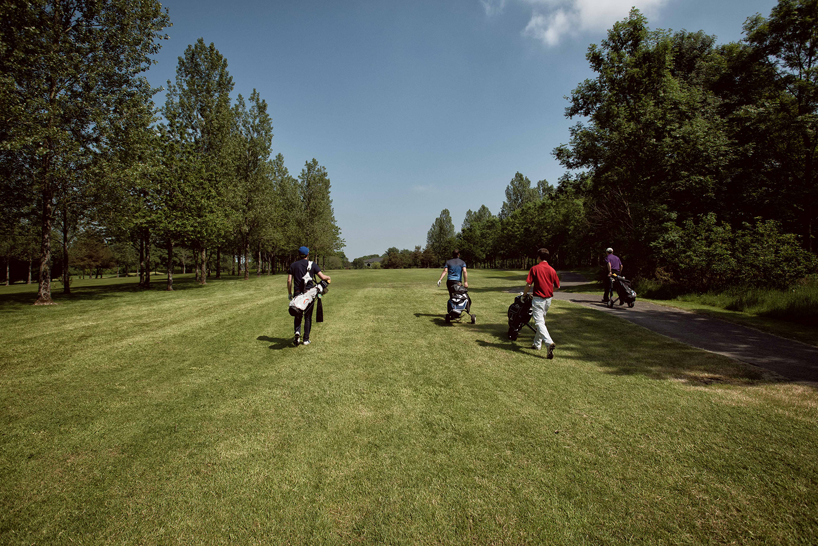 Four golfers walking with their bags on a lush, green fairway surrounded by trees under a clear blue sky.