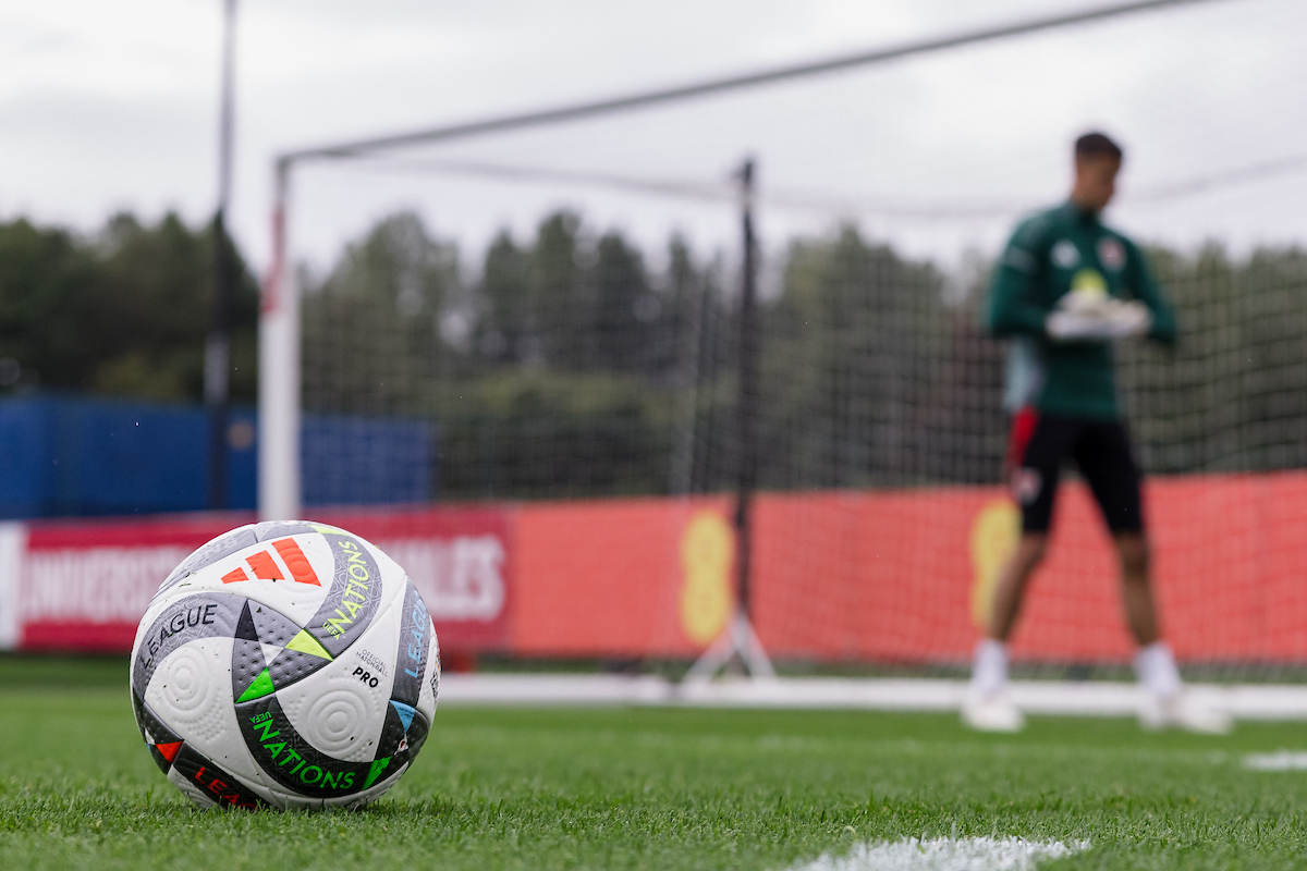 A soccer ball rests on a grassy field near a goal, with a person in a green jersey standing in the background.