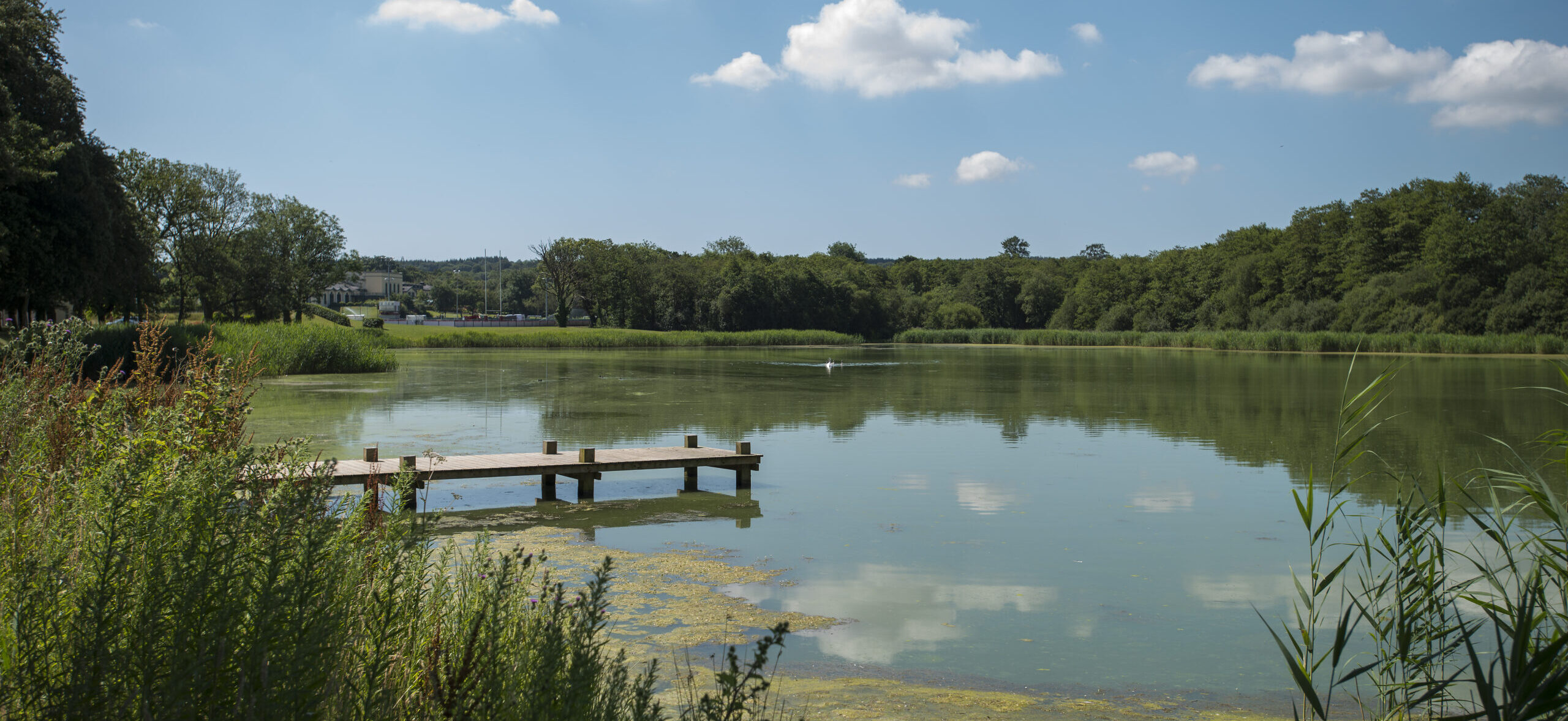 A wooden pier extends over a calm lake surrounded by trees and greenery under a blue sky with clouds.